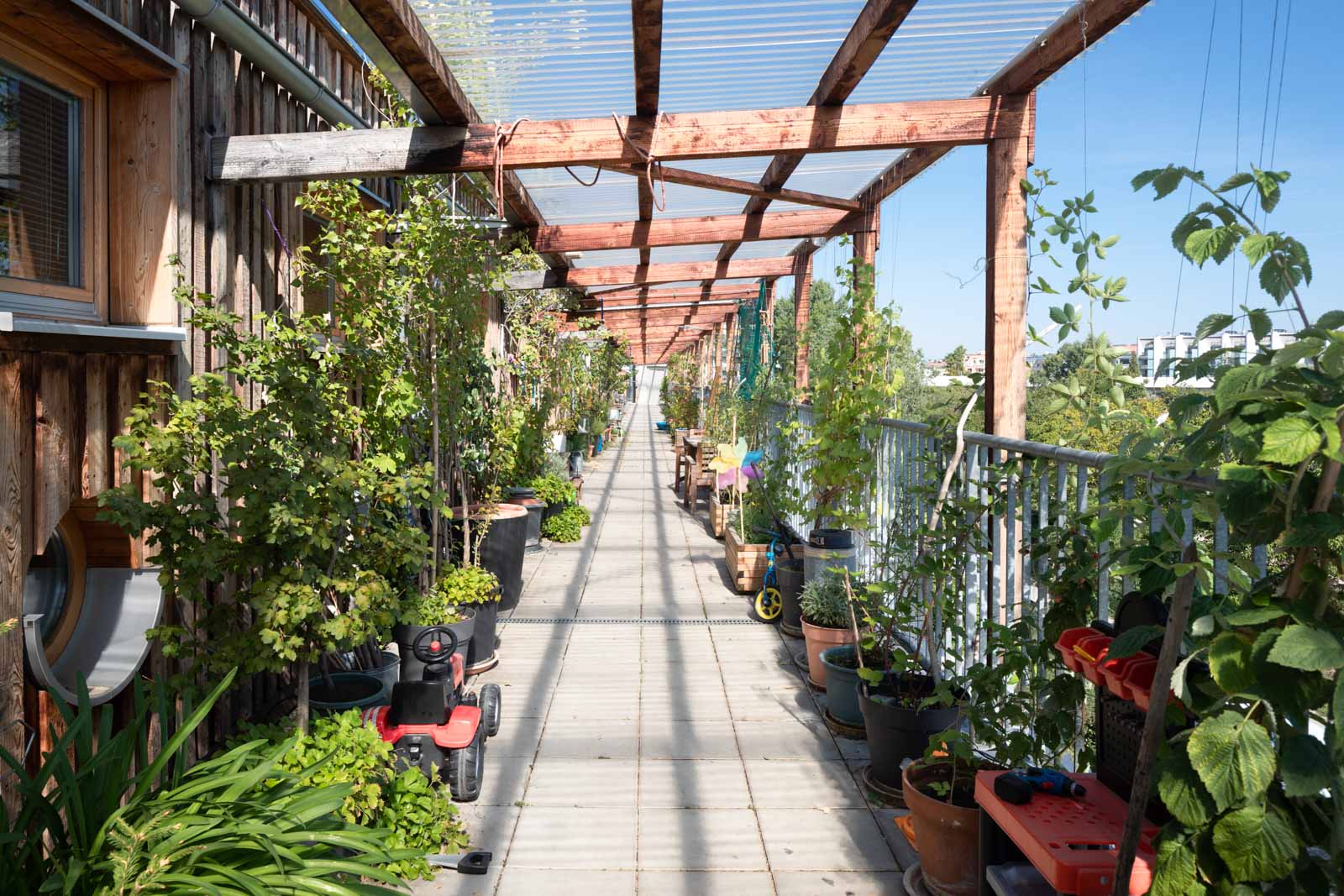 Wohnen Am Muehlgrund Krischanitz Czech Neuwirth Krischanitz photo by Wolfgang Thaler