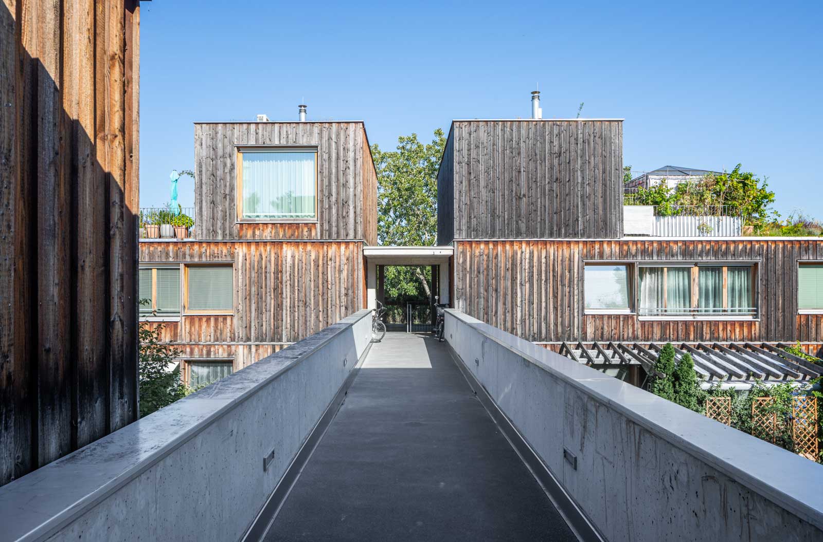 Wohnen Am Muehlgrund Krischanitz Czech Neuwirth Krischanitz photo by Wolfgang Thaler