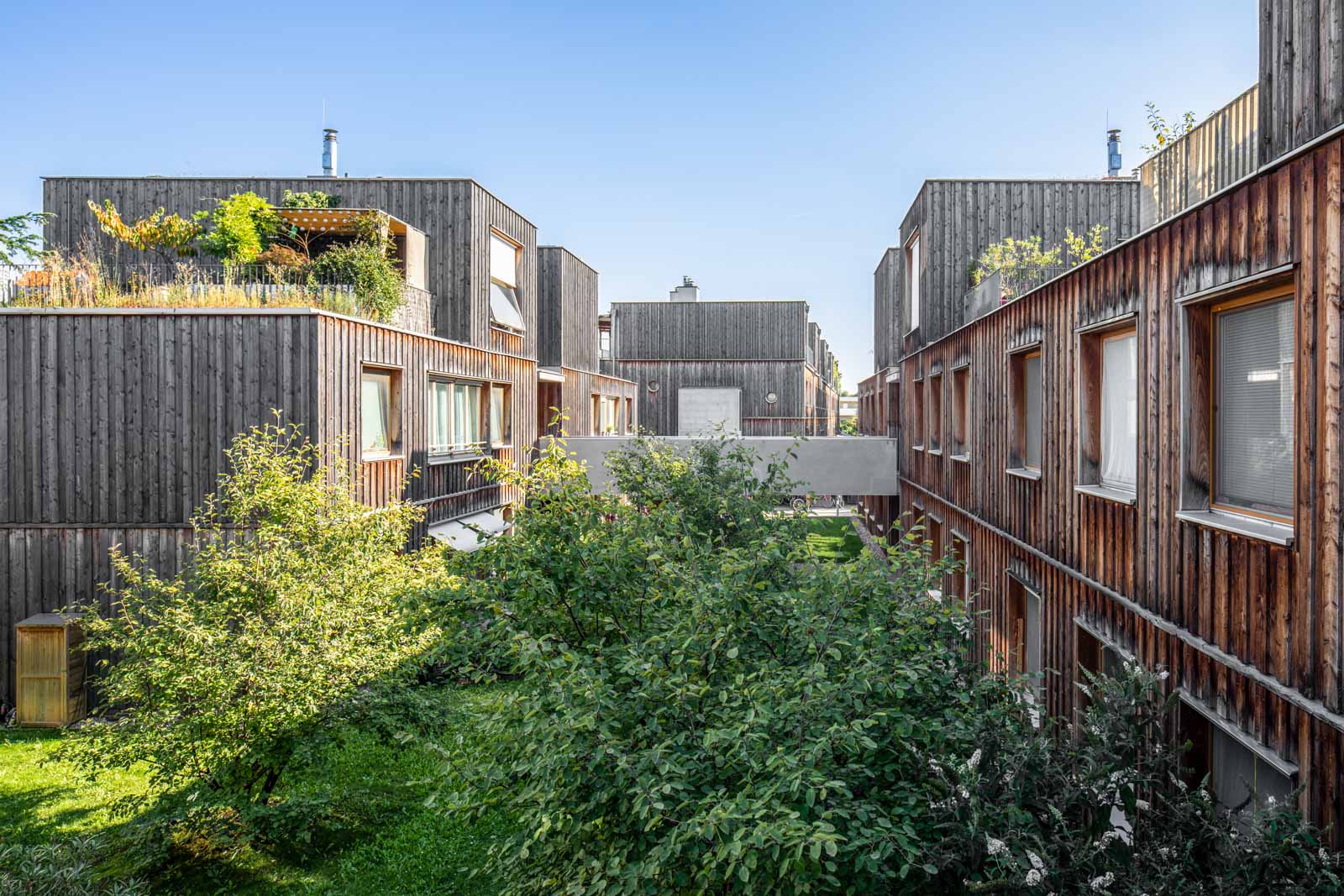 Wohnen Am Muehlgrund Krischanitz Czech Neuwirth Krischanitz photo by Wolfgang Thaler