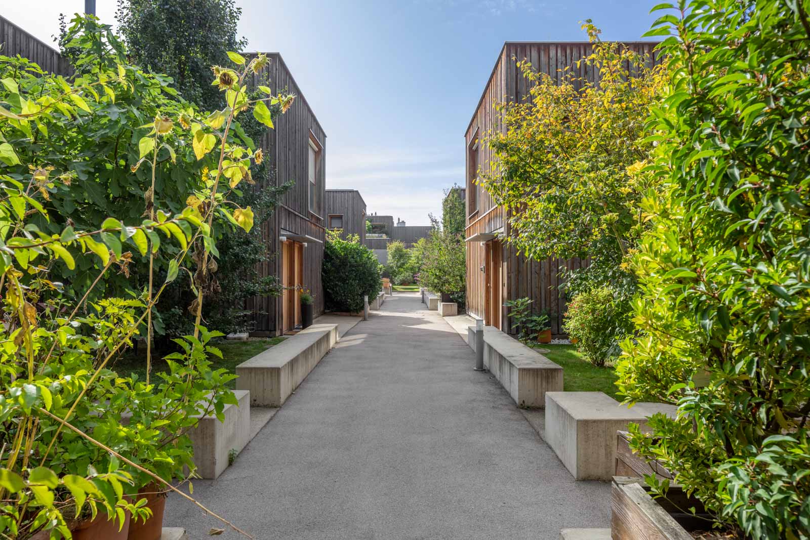 Wohnen Am Muehlgrund Krischanitz Czech Neuwirth Krischanitz photo by Wolfgang Thaler