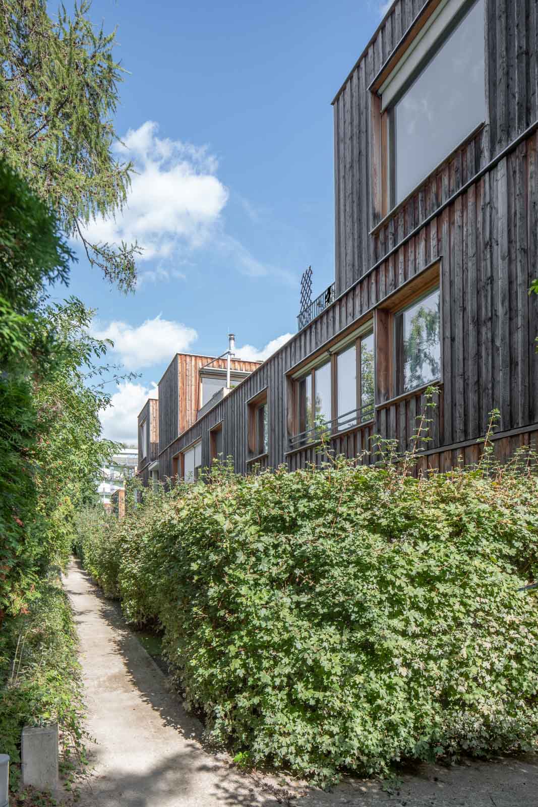 Wohnen Am Muehlgrund Krischanitz Czech Neuwirth Krischanitz photo by Wolfgang Thaler