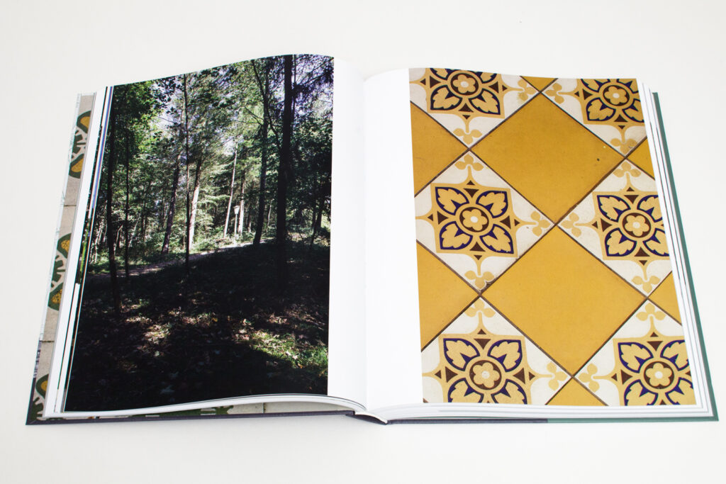 Foto von dem Buch: Die Stadt ausserhalb (Steinhof Otto Wagner Spital)