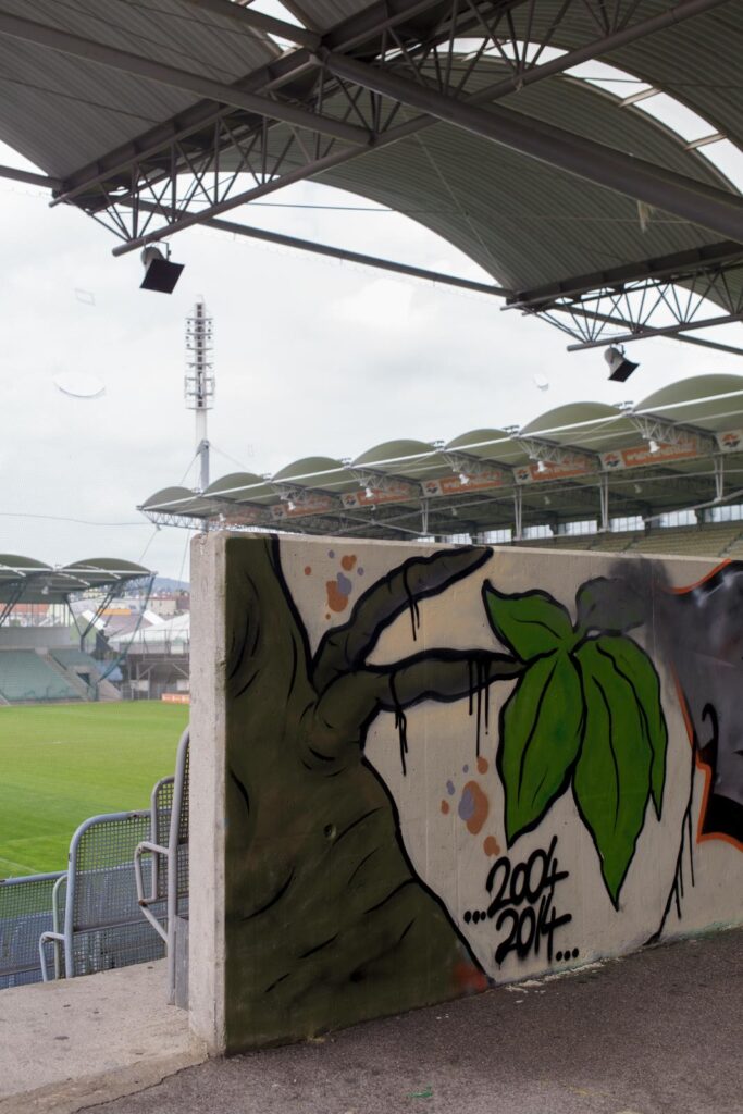 Gerhard Hanappi Fussballer und Architekt