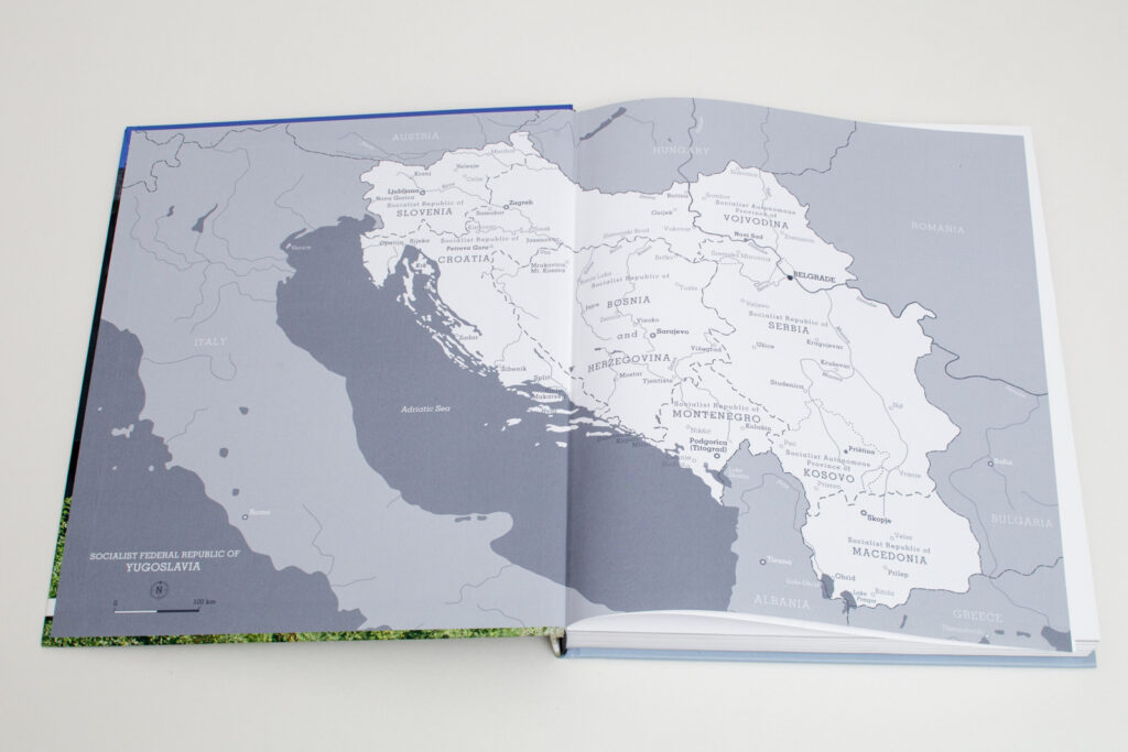 image of the book Modernism In-between