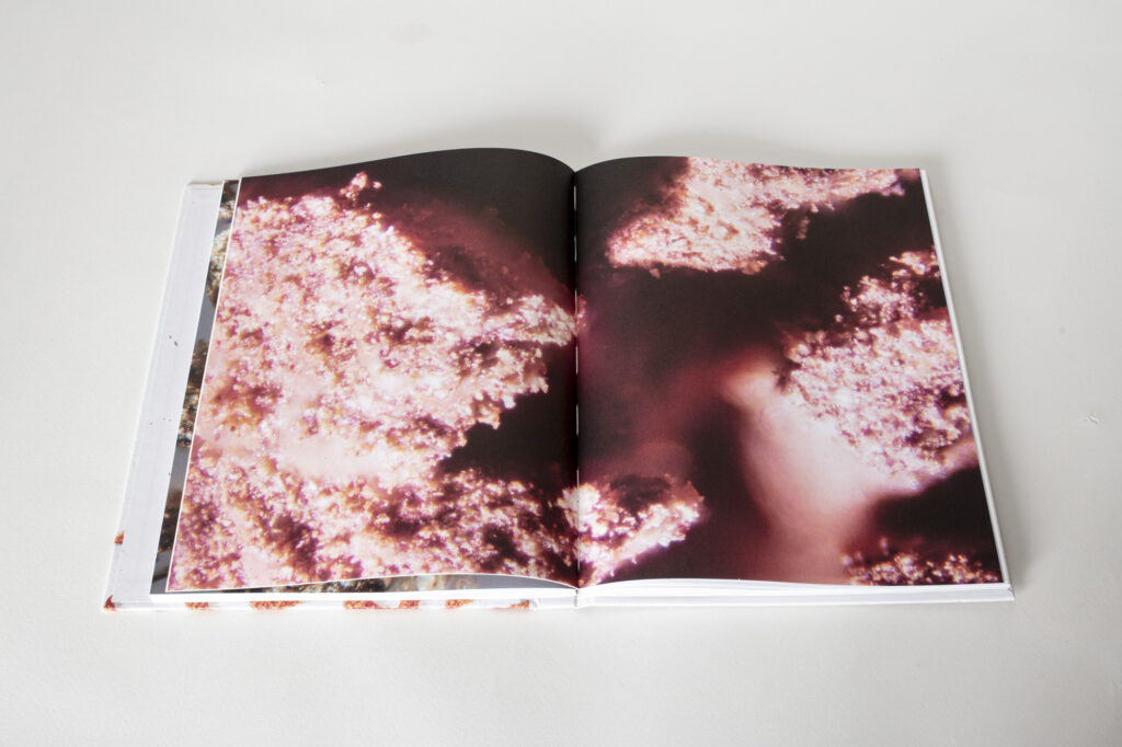 fundfarben-heiko-bressnik